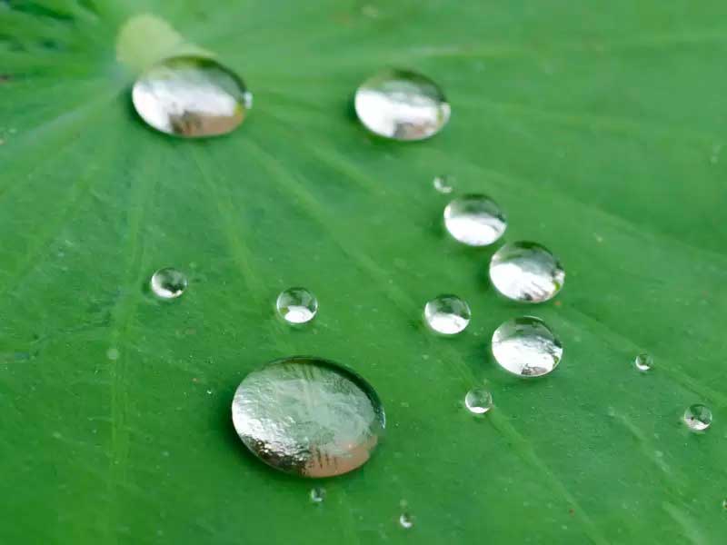 superhydrophobic coatings